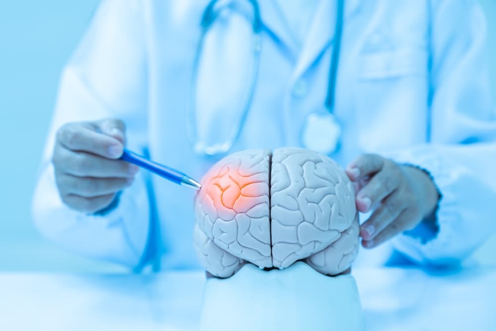 Neurologist pointing at a human brain model, highlighting a lesion, used for medical education and study.