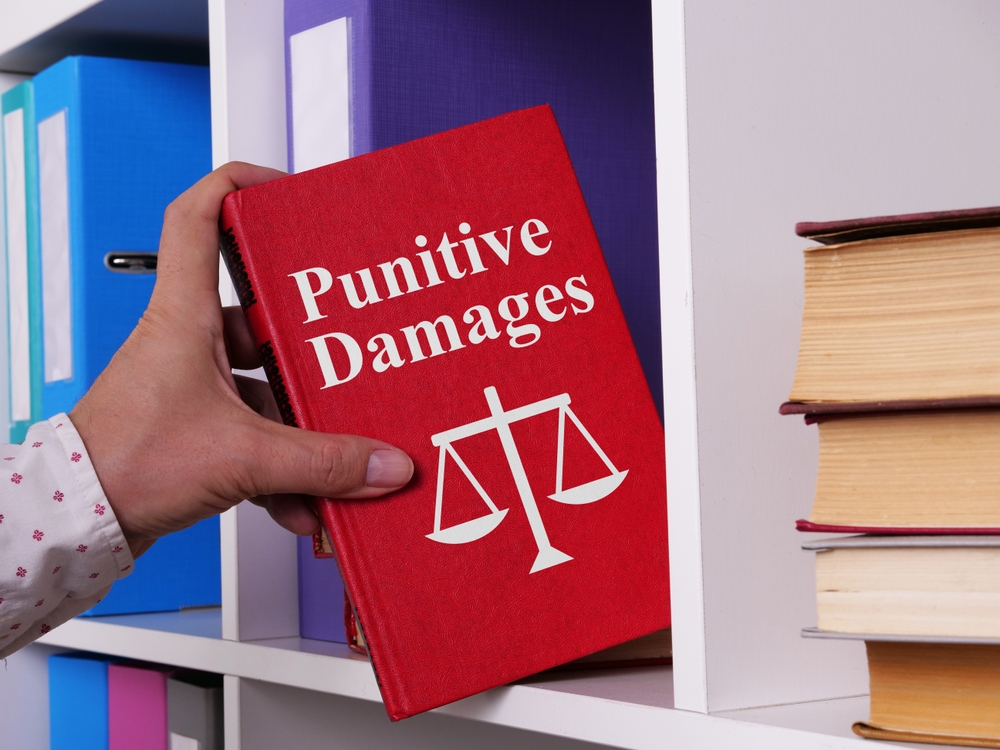 Punitive damages are displayed using text