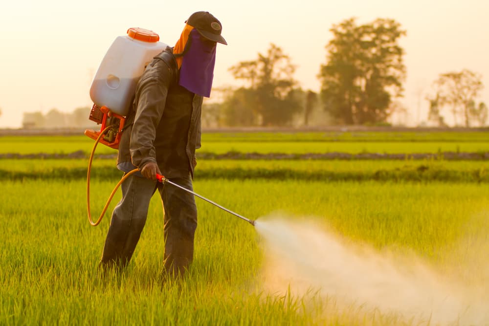 Toxic pesticide spray