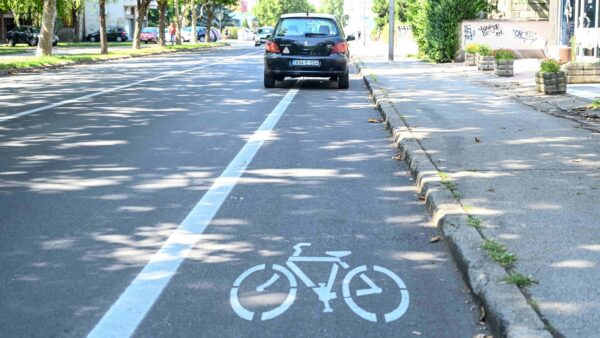 Painted bike lane running alongside parallel-parked cars in a city street