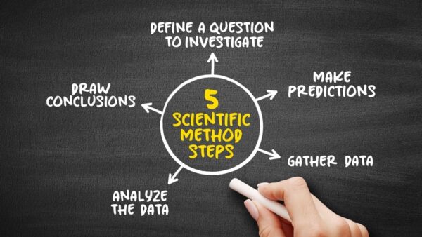 scientific method chart on chalkboard