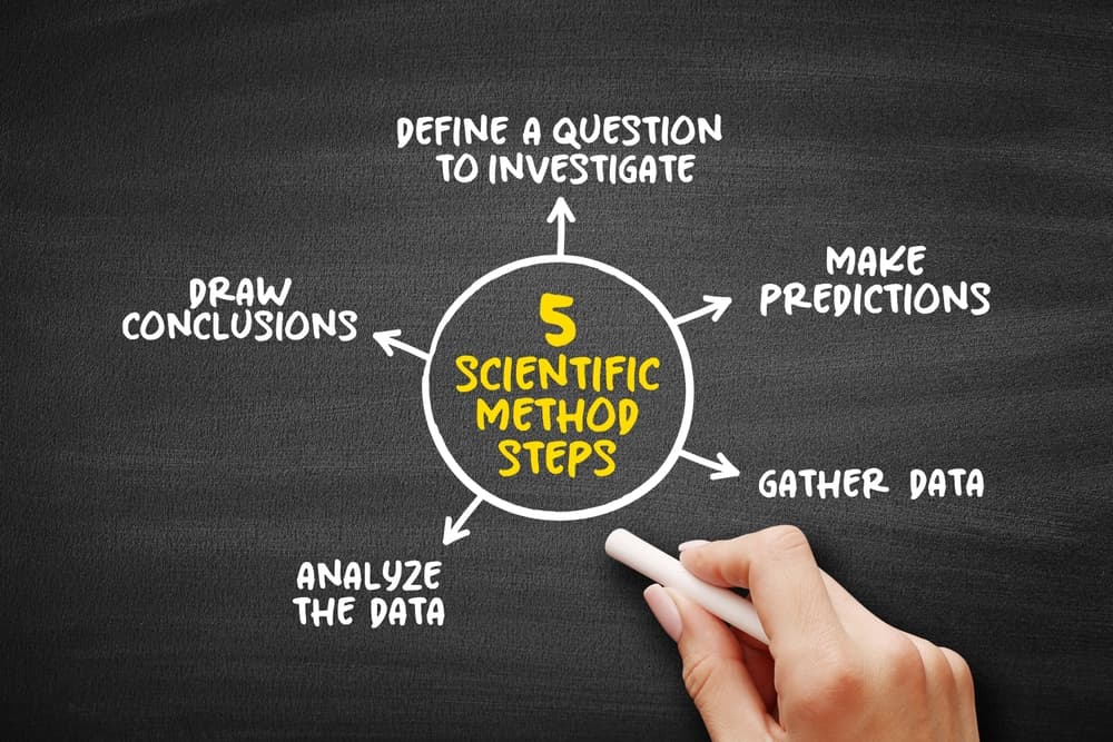 scientific method chart on chalkboard